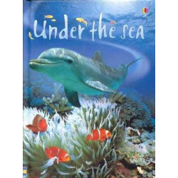 Usborne Beginners : Under the Sea HB