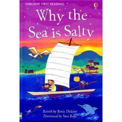 Why the Sea is Salty level 4 HB. ufr4