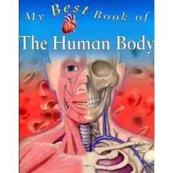 Human Body