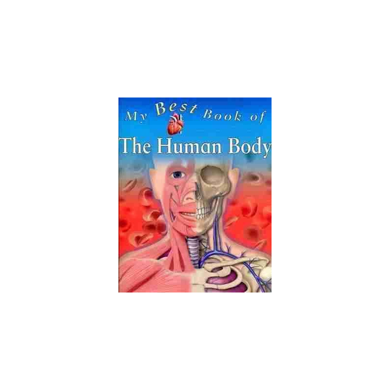 Human Body