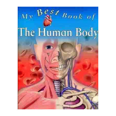 Human Body