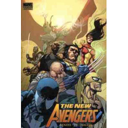 New Avengers : Revolution HB