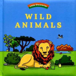 Little Discoveries Wild Animals