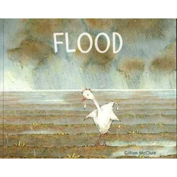 Flood