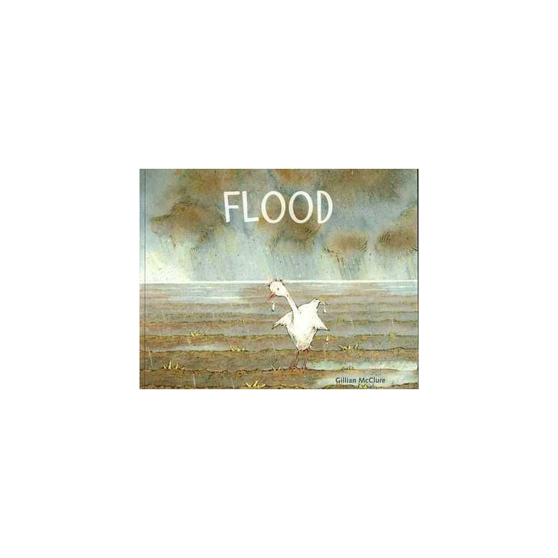 Flood