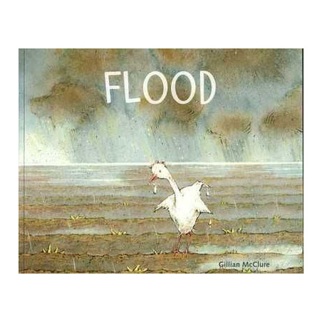 Flood