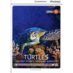 Turtles : Ancient Symbol B2 + Audio online